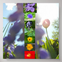 Chakras by Petals Posters