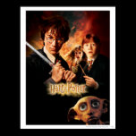 Chamber of Secrets - French posters