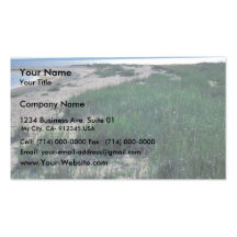 Chamisso Island sand spit Business Card