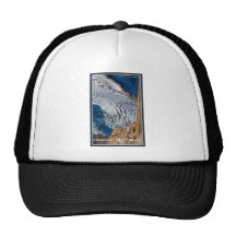 Chamonix - Bossons Closeup Trucker Hats