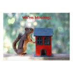 Change of Address/Housewarming Party Squirrel Personalised Invite