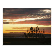 Channel Islands Sunset Post Card