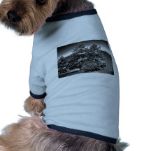 Charcoal Snow Dog Tshirt