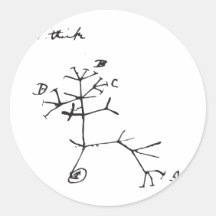 Charles Darwin - I Think (Black) Stickers