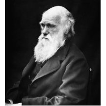 Charles Darwin Portrait Acrylic Cut Outs
