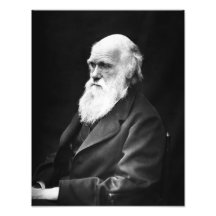 Charles Darwin Portrait Photographic Print