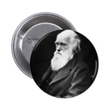 Charles Darwin Portrait Pin