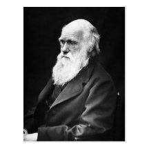 Charles Darwin Portrait Post Card