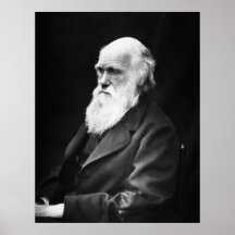 Charles Darwin Portrait Poster