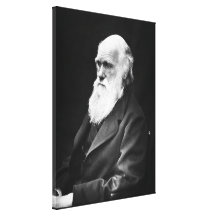 Charles Darwin Portrait Stretched Canvas Print