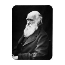 Charles Darwin Portrait Vinyl Magnet