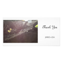 charlotte's web photo card template
