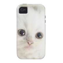 Chat blanc coque iPhone 4