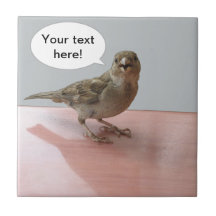 Chattering Sparrow Tiles
