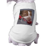 Cheeky Pitbull Dog Clothes