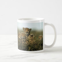 Cheetah and Cub Mugs