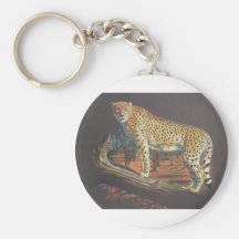 Cheetah at Rest Keychains