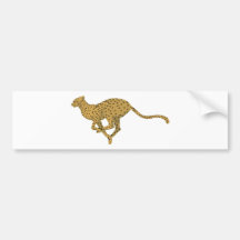 Cheetah! Bumper Sticker