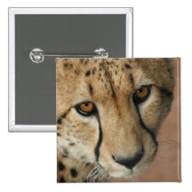 Cheetah Cat Square Button