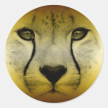 CHEETAH FACE ROUND STICKERS