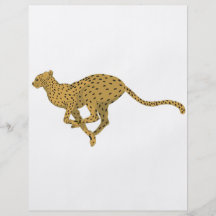Cheetah! Flyer