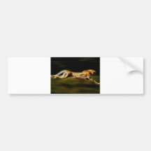 Cheetah Hunting His Prey Bumper Stickers