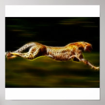 Cheetah Hunting His Prey Poster