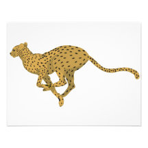 Cheetah! Invitation
