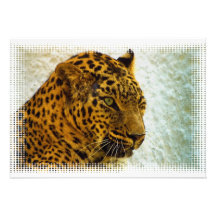Cheetah Invitation