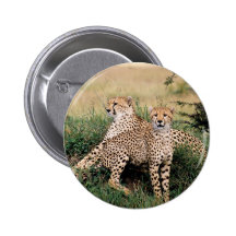 Cheetah Pair Pins