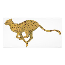 Cheetah! Photo Card