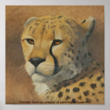 Cheetah Posters