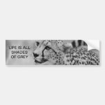 Cheetah profile bumper sticker
