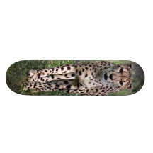 Cheetah Skate Board