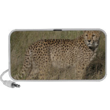 Cheetah Speaker