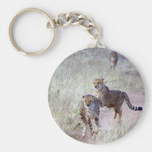Cheetahs in Namibia Key Chains