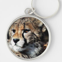 Cheetahs Key Chains