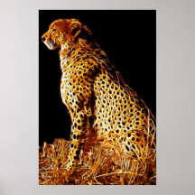 Cheetahs stance print