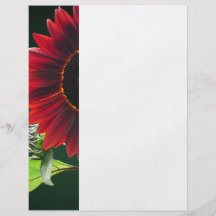 Cherry and Chocolate Sunflower Flyer