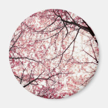 cherry blossom 2 refrigerator magnets