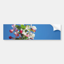 Cherry blossom and meaning bumper stickers