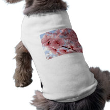 Cherry Blossom Doggy Tee Doggie T Shirt