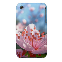 Cherry Blossom iPhone Case iPhone 3 Case-Mate Cases