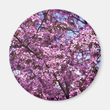 Cherry Blossom Magnet