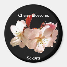 Cherry Blossom Magnet