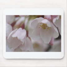 Cherry Blossom Mousepads
