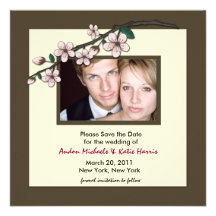 Cherry Blossom Photo Announcement