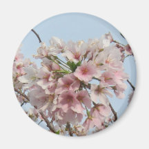Cherry Blossom Refrigerator Magnet
