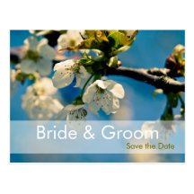 Cherry Blossom • Save the Date Postcard