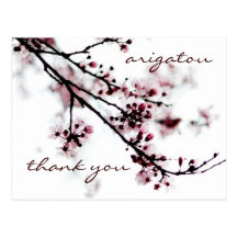 Cherry Blossom Thank You Postcards